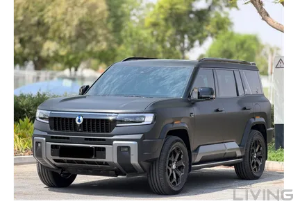 بي واي دي دينزا بي 8 فلاج شيب 2026